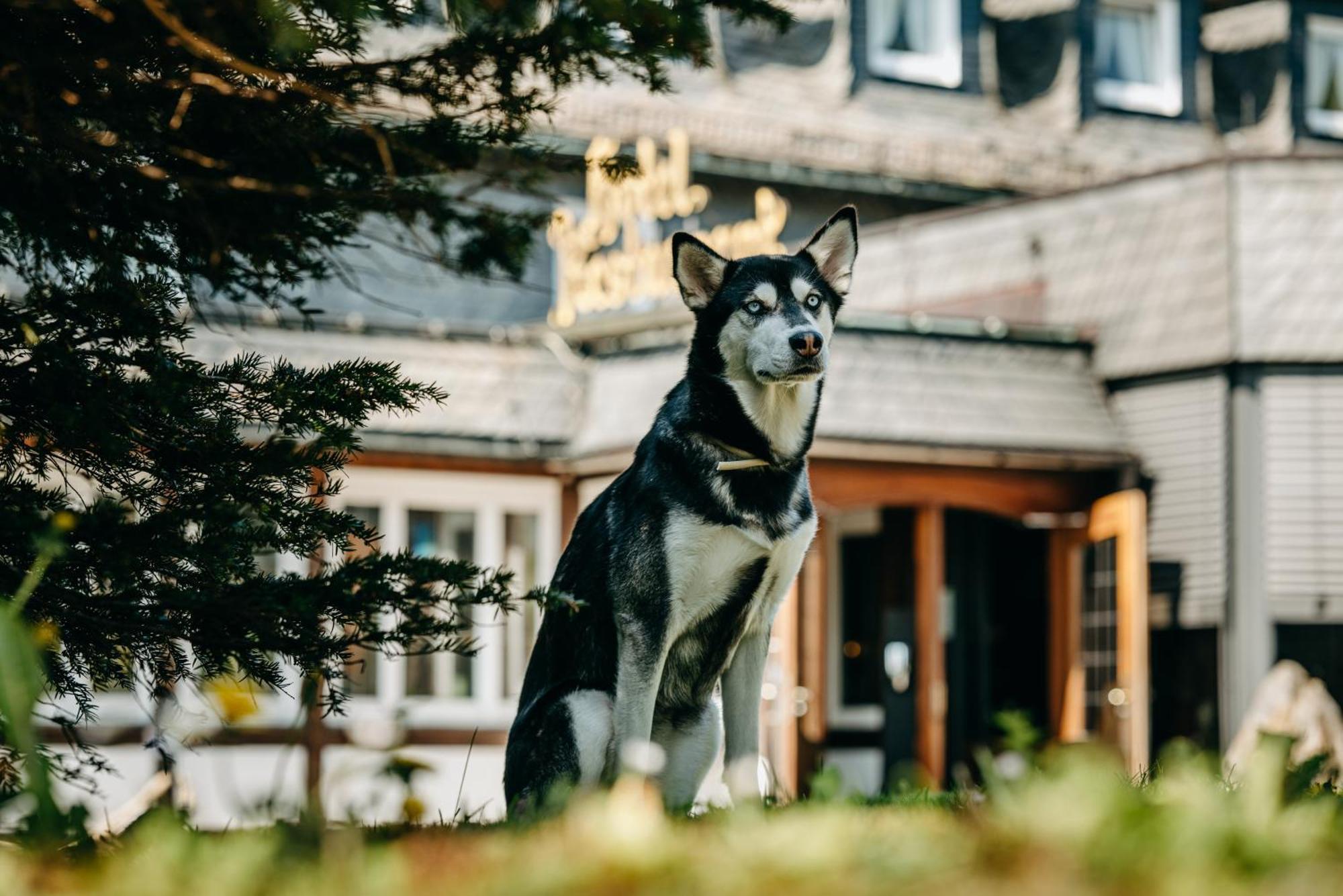 Romantik Berghotel Astenkrone Винтерберг Екстериор снимка